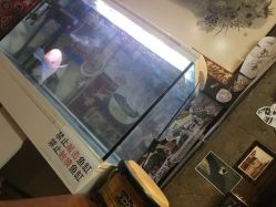 -匿名者纹身学院派·刺青