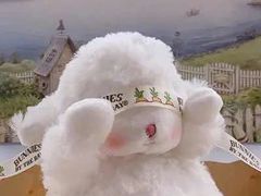 -大众美蛙鱼头(民心佳园总店)