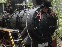 -五营红松林海景区