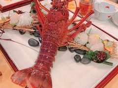 -活伊势龙虾料理 中纳言(千日前味乐馆店)