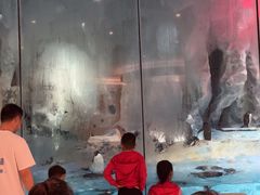 -帝企鹅自助餐厅•儿童岛•真企鹅(长隆企鹅酒店)