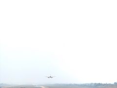 -空港花田景区