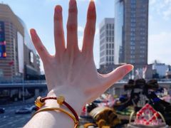 -海关大楼(陆家嘴街道)