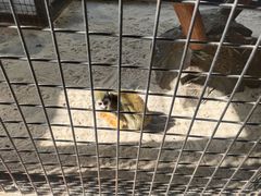 -海合安武汉极地海洋公园