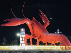 -虾皇(龙虾城旗舰店)