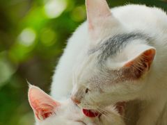 -狼山风景名胜区