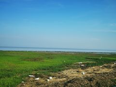 -南汇嘴观海公园