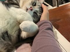 -咖法森林·咖啡  酒吧(天河店)