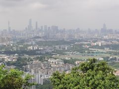 -火炉山森林公园