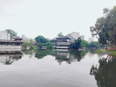 -荔湾湖公园