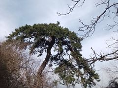 -终南山南五台景区