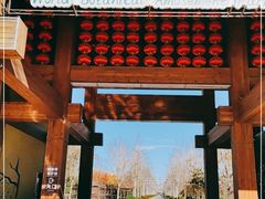 -南宫五洲植物乐园