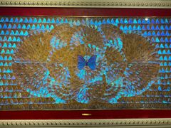 -上海昆虫博物馆