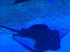 -多彩贵州城极地海洋世界