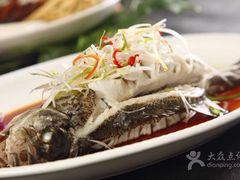 -金蝉食府(维吉奥广场店)