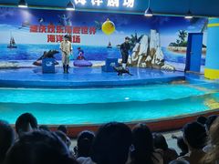 -重庆欢乐海底世界