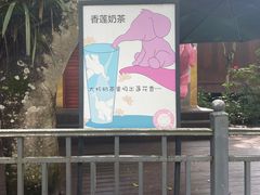 -野象谷景区