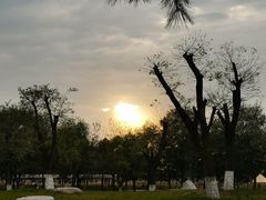 -汉长安城未央宫国家考古遗址公园