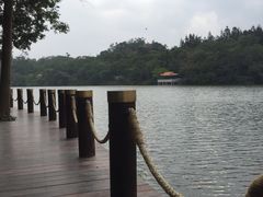 -梧桐山风景名胜区