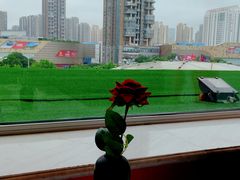 -红顶食府(滨湖九号店)