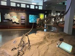 -自贡恐龙博物馆