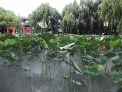 -四川大学(望江校区)