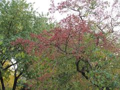 -辽宁大学(崇山校区)