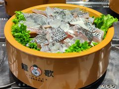 鲷鱼块-龍歌自助小火锅(李沧顺和汇店)
