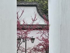 -乌山风景区