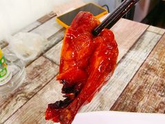 -东鸽皇(奥园·中环广场店)