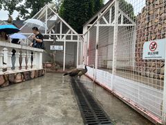 -J Create城市露营咖啡·简餐·宠物(上海动物园店)