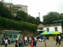 -上海佘山国家森林公园西佘山园