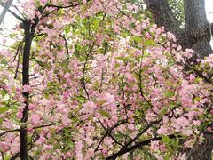 -城市运动公园(未央区)