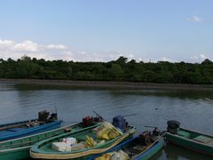 -东寨港红树林旅游区