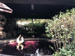 -杭州第一世界大酒店·云曼温泉
