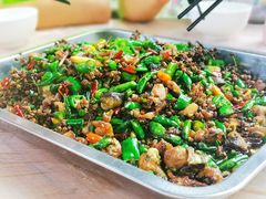 -铁山坪森林公园