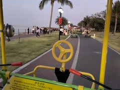 -野狸岛