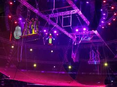 -俄罗斯国家大马戏团