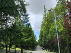 -上海长兴岛郊野公园