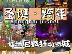 -上海迪士尼度假区