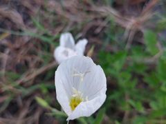 -精武路第一家(吉庆街店)