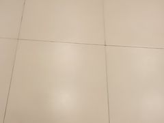 -芦月轩羊蝎子(太平桥店)