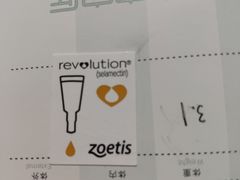 -瑞派紫金宠物医院24小时·骨科·中兽医·重症转诊中心(番禺大石院)
