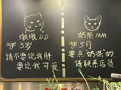 -后院儿·精酿·塔罗Happy Bar