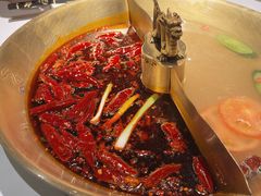 -小龙翻大江文化火锅(宽窄店)