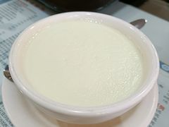 双皮奶-黄师奶甜品店