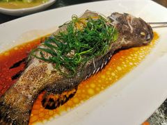 清蒸石斑鱼-达叔香味海鲜(海棠68环球美食街店)