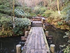 -杭州半山国家森林公园