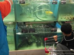 -北国超市(益元店)