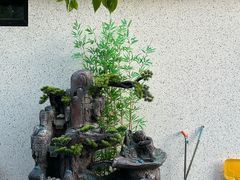 -金孔雀德宏傣味餐馆(魏公村店)